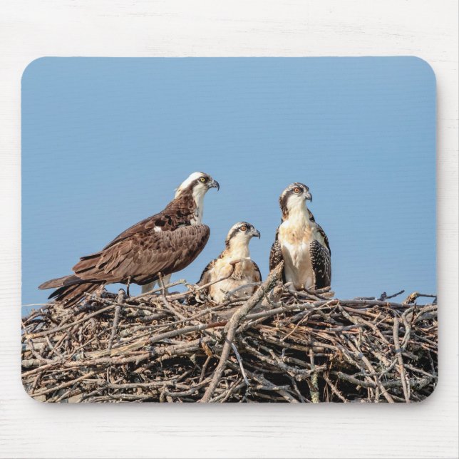 Alfombrilla De Ratón Osprey mamá con sus hijos (Frente)