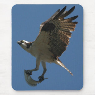 Alfombrilla De Ratón Osprey/pescados Mousepad