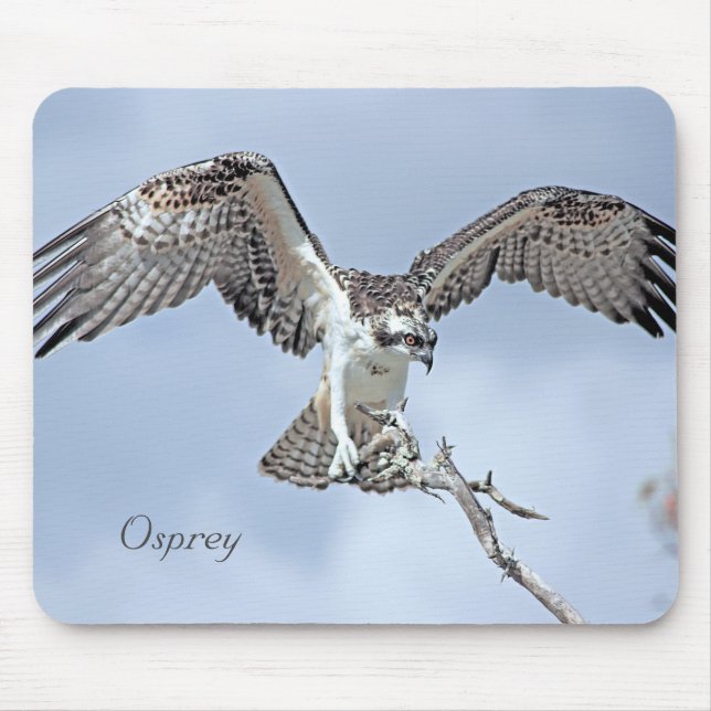 Alfombrilla De Ratón Osprey Wingspan Mousepad (Frente)