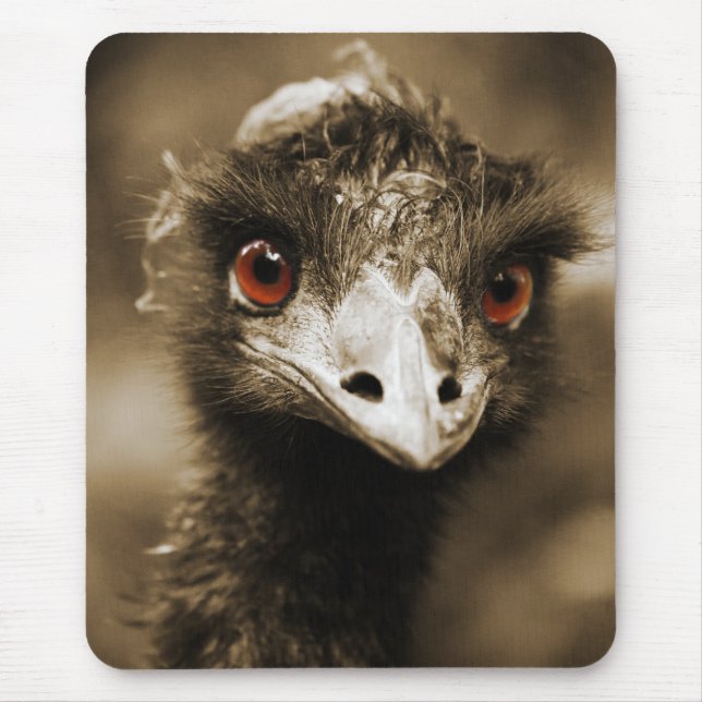 Alfombrilla De Ratón Ostriches Look mousepad (Frente)