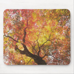 Alfombrilla De Ratón Otoño