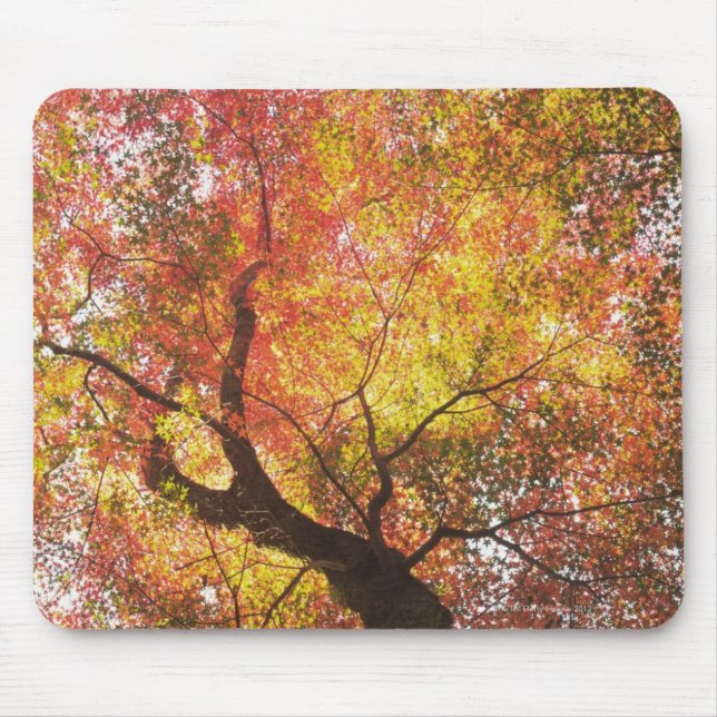 Alfombrilla De Ratón Otoño (Frente)