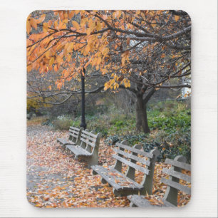 Alfombrilla De Ratón Otoño de fotografía de Nueva York en Riverside Par