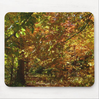 Alfombrilla De Ratón Otoño de otoño II Fotografía de otoño amarilla