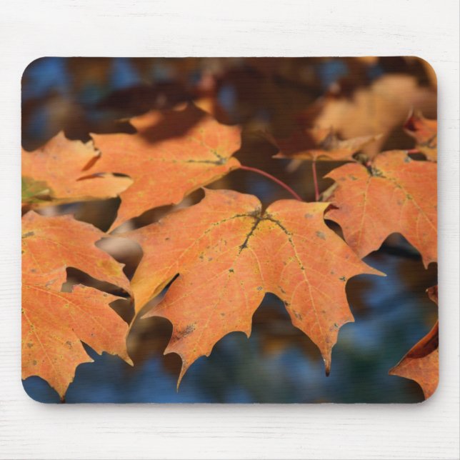 Alfombrilla De Ratón Otoño deja Mousepad (Frente)