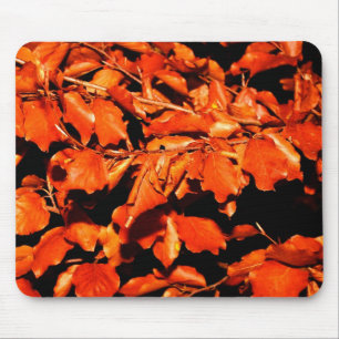 Alfombrilla De Ratón Otoño en bosque