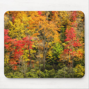 Alfombrilla De Ratón Otoño en Sims Pond North Carolina, Blue Ridge