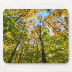 Alfombrilla De Ratón Otoño en un bosque en Amesbury, Massachusetts