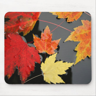 Alfombrilla De Ratón Otoño Maple Leaves colores estanque rojo Mousepad