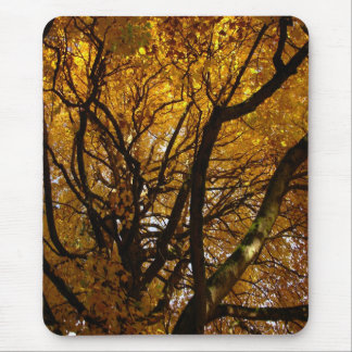 Alfombrilla De Ratón Otoño Mousepad Hermosos regalos de paisaje otoñale