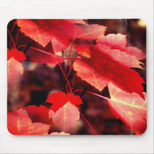 Alfombrilla De Ratón Otoño Rojo deja a la naturaleza