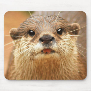 Alfombrilla De Ratón Otter asiático pequeño