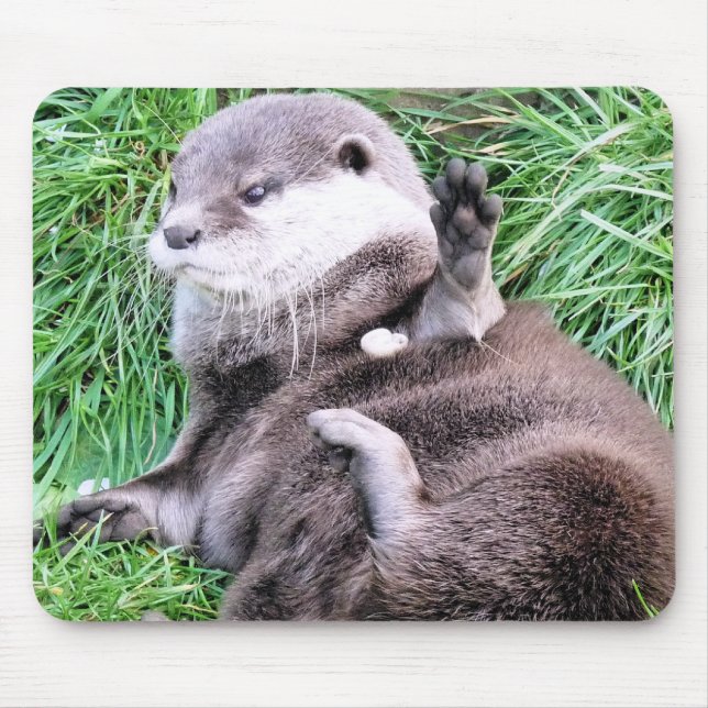 ALFOMBRILLA DE RATÓN OTTERS (Frente)