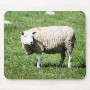 Alfombrilla De Ratón Oveja adulta