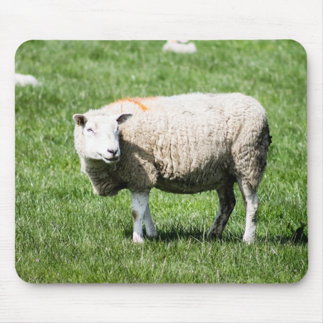 Alfombrilla De Ratón Oveja adulta (Frente)
