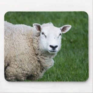 Alfombrilla De Ratón Oveja corta