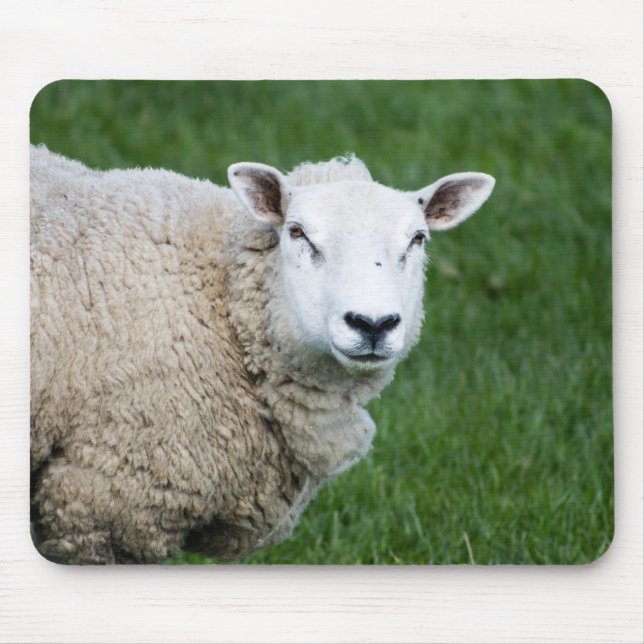 Alfombrilla De Ratón Oveja corta (Frente)