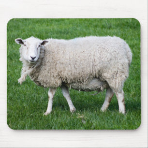 Alfombrilla De Ratón Oveja corta