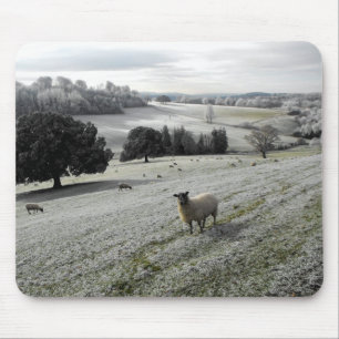 Alfombrilla De Ratón Oveja en un valle helado