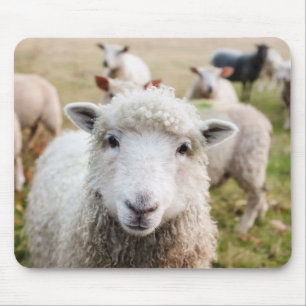 Alfombrilla De Ratón Ovejas