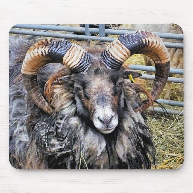 ALFOMBRILLA DE RATÓN OVEJAS (Frente)