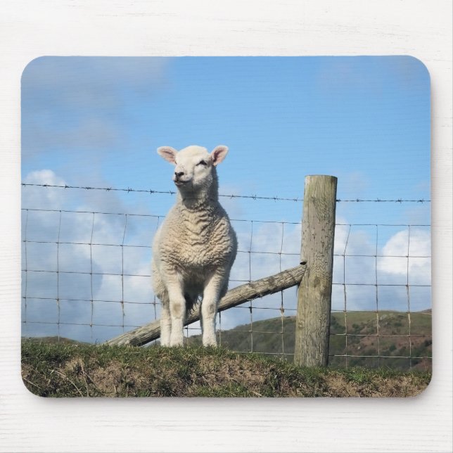 ALFOMBRILLA DE RATÓN OVEJAS CUIDADAS (Frente)
