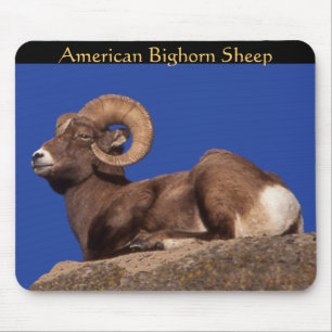 Alfombrilla De Ratón Ovejas de Bighorn americanas Mousepad