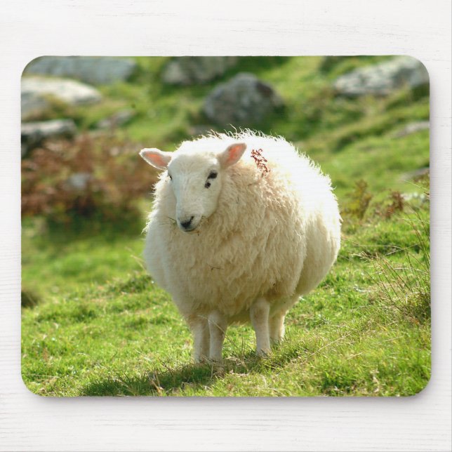 Alfombrilla De Ratón Ovejas Mousepad de Irlanda (Frente)