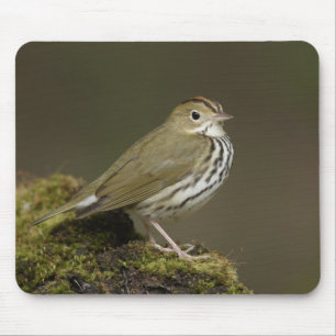 Alfombrilla De Ratón Ovenbird Mousepad