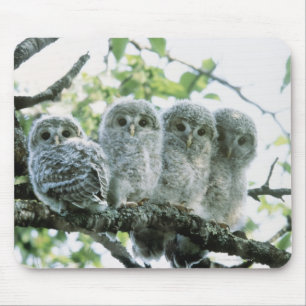 Alfombrilla De Ratón Owetsl de Ural. Ikeda-machi, Hokkaido, Japón