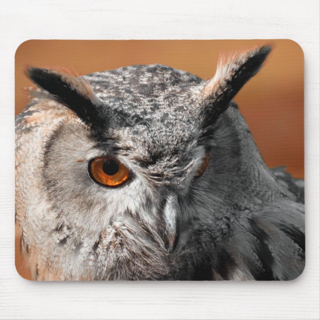 Alfombrilla De Ratón Owl Stare (Frente)