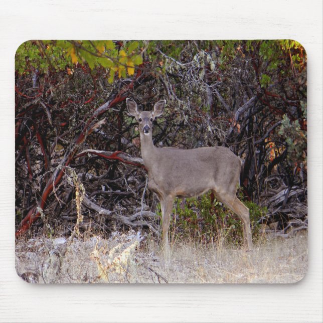 Alfombrilla De Ratón Pacíficamente...... (Frente)