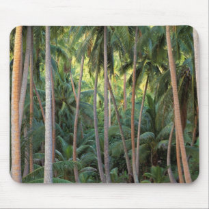 Alfombrilla De Ratón Pacífico Sur, Polinesia Francesa, Bora Bora.