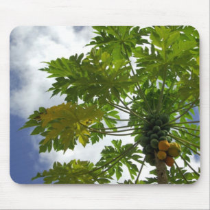 Alfombrilla De Ratón Pacífico Sur, Polinesia Francesa, Marruecos.2