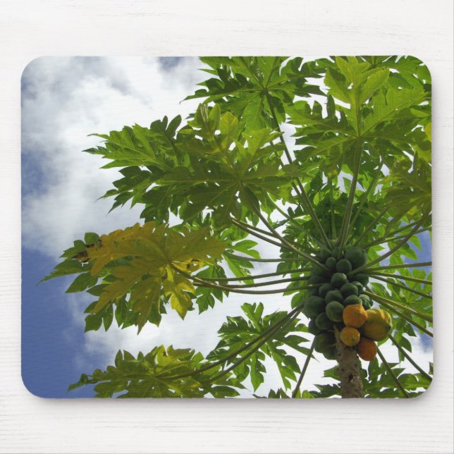 Alfombrilla De Ratón Pacífico Sur, Polinesia Francesa, Marruecos.2 (Frente)