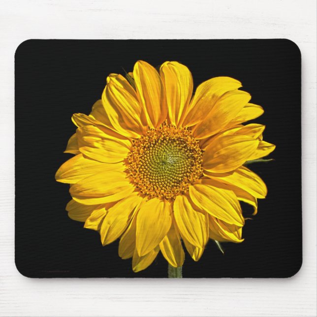 Alfombrilla De Ratón Pacma de girasol (Frente)