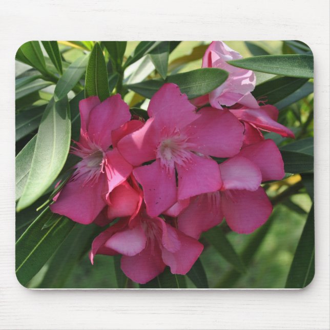 Alfombrilla De Ratón Pad de flor rosada Frangipani (Frente)