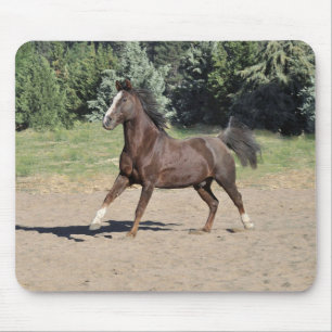 Alfombrilla De Ratón Pad de ratón Brown Morgan para el caballo