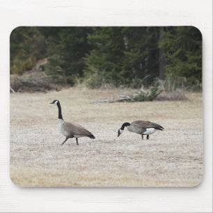 Alfombrilla De Ratón Pad de ratón Geese canadiense