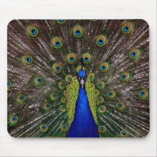 Alfombrilla De Ratón Pad de ratón Peacock