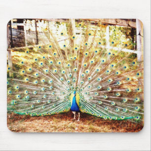 Alfombrilla De Ratón Pad de ratón Peacock
