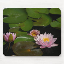 Pad de ratón rosa de Lotus Waterlilies