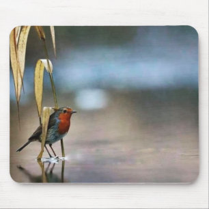 Alfombrilla De Ratón Pad del ratón