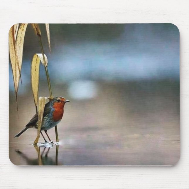 Alfombrilla De Ratón Pad del ratón (Frente)