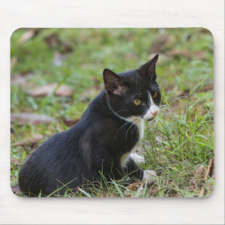 Alfombrilla De Ratón Pad del ratón del gato