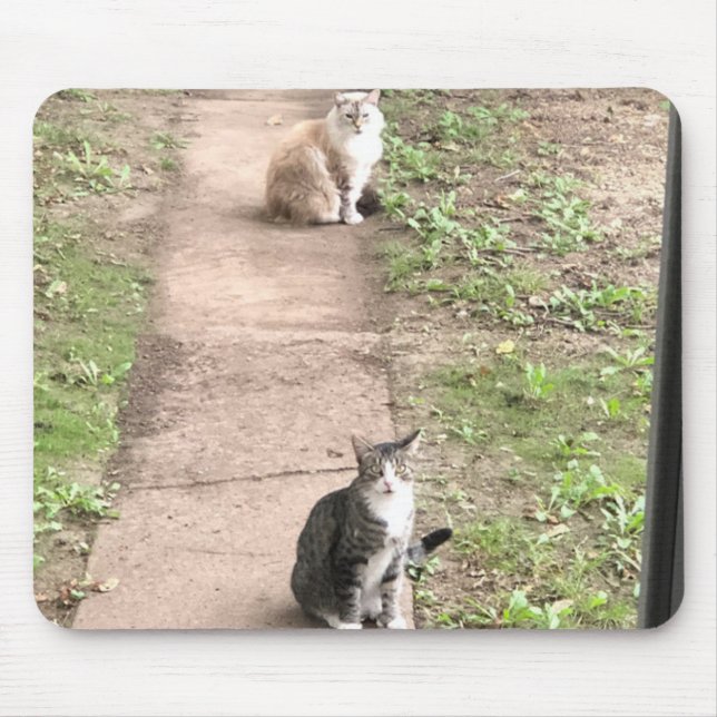 Alfombrilla De Ratón Pad del ratón del gato (Frente)