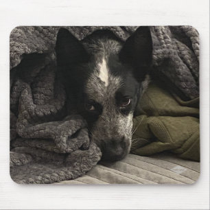 Alfombrilla De Ratón Pad del ratón fotográfico - HAMbyWG