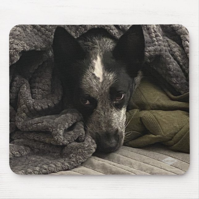 Alfombrilla De Ratón Pad del ratón fotográfico - HAMbyWG (Frente)