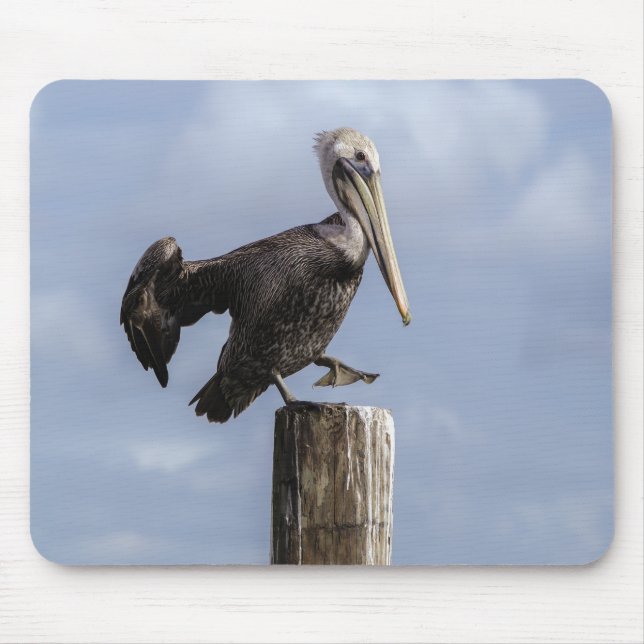 Alfombrilla De Ratón Pad Pelican Mouse (Frente)