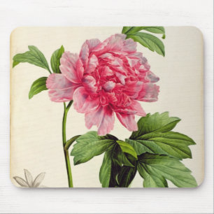Alfombrilla De Ratón Paeonia Moutan, c.1799